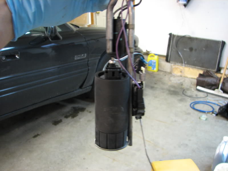 Name:  IMG_1552.jpg
Views: 537
Size:  47.4 KB