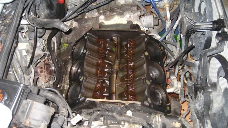 Name:  IMG_4234.jpg
Views: 143
Size:  103.2 KB