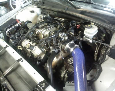 Name:  SP_A0185.jpg
Views: 42
Size:  35.2 KB