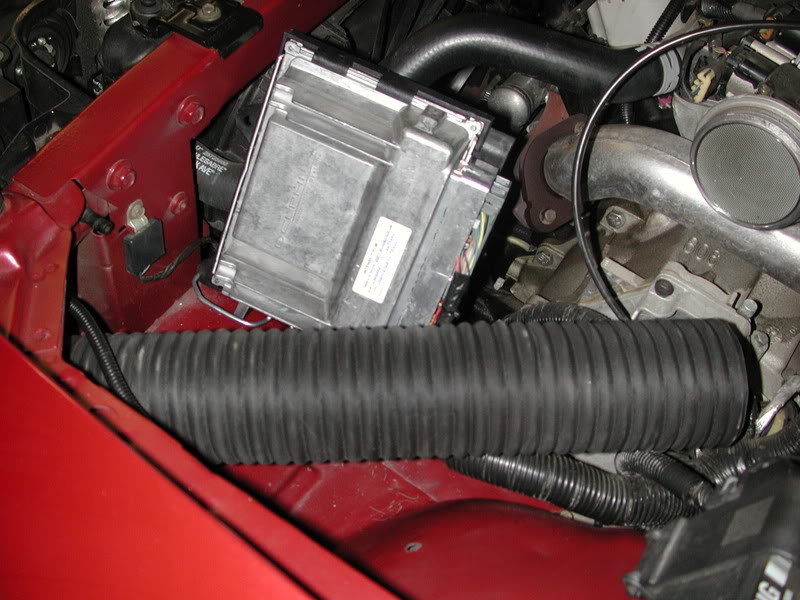 Name:  DSCN9903.jpg
Views: 226
Size:  88.4 KB