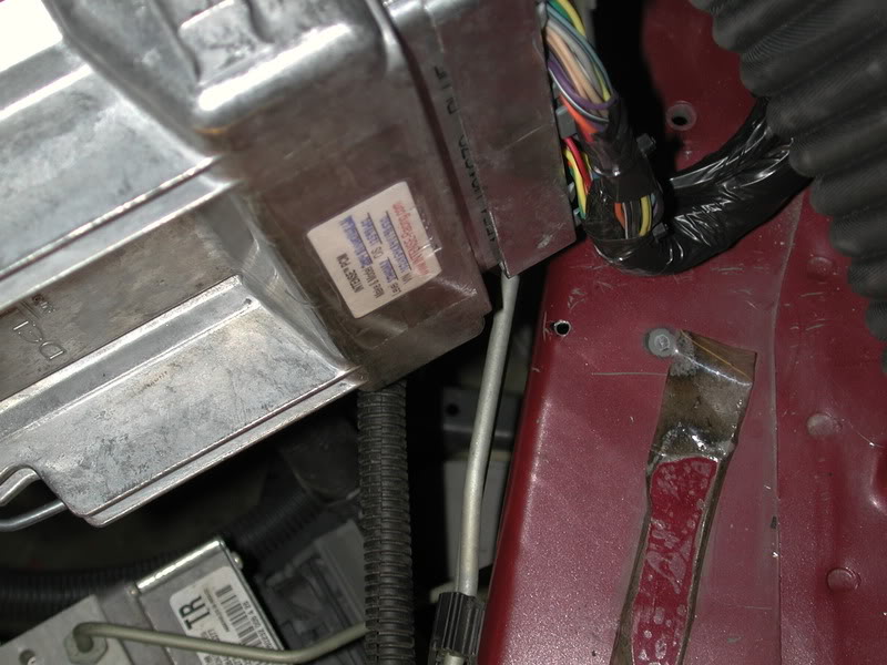 Name:  DSCN9905.jpg
Views: 271
Size:  84.7 KB