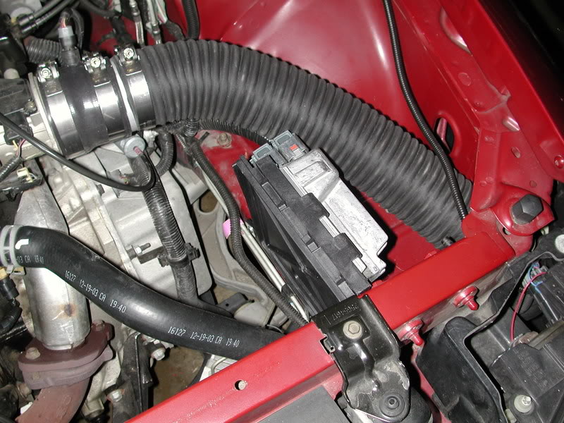 Name:  DSCN9907.jpg
Views: 300
Size:  113.5 KB