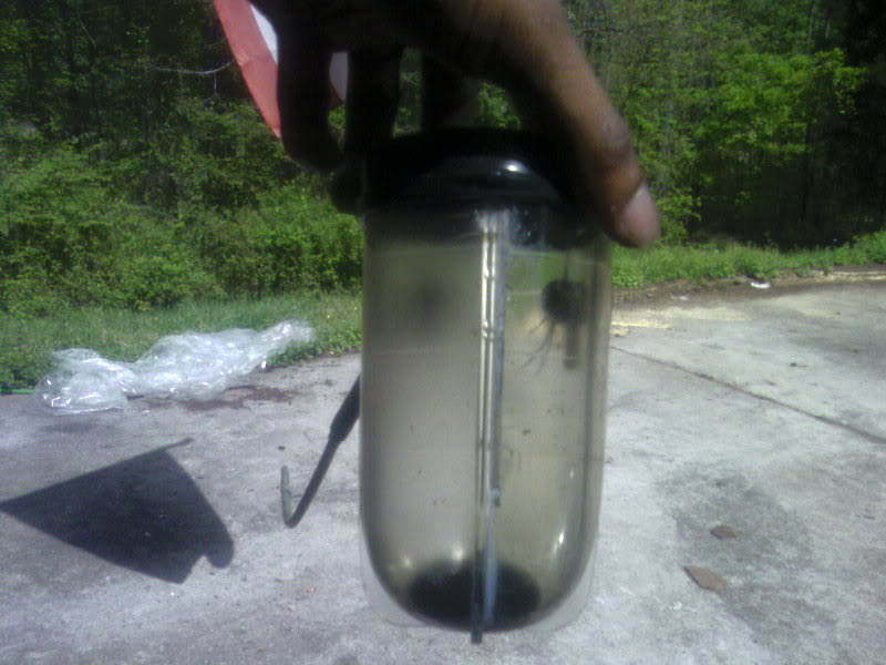 Name:  Photo-0027.jpg
Views: 212
Size:  63.6 KB