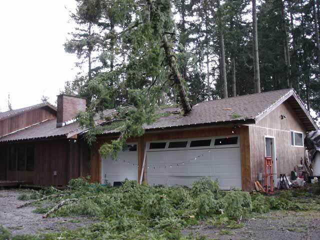 Name:  GaragePictures-007.jpg
Views: 42
Size:  54.4 KB