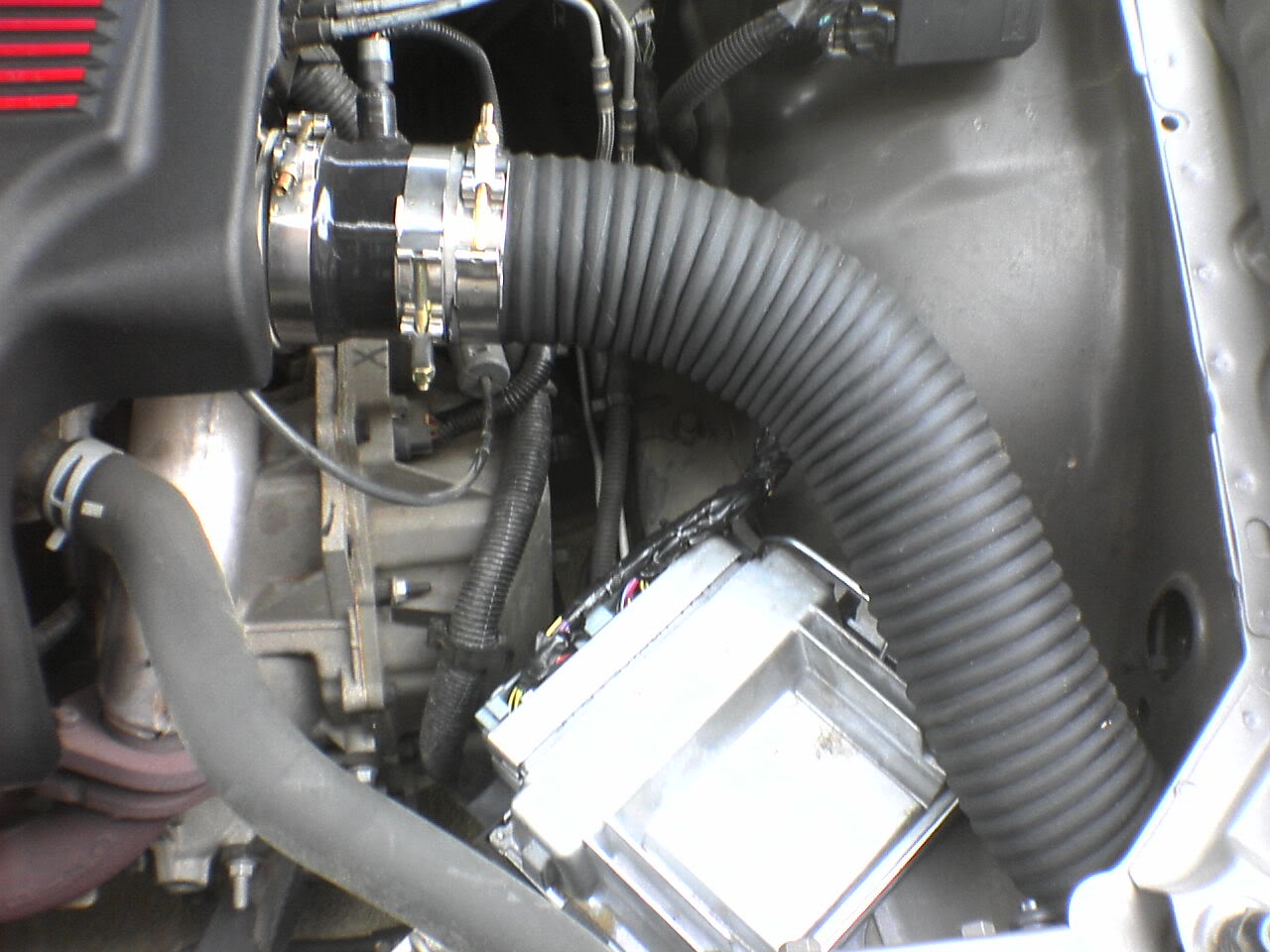 Name:  DSC00241.jpg
Views: 279
Size:  136.1 KB