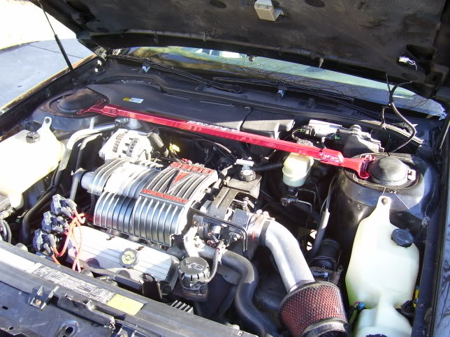 Name:  todistribute023.jpg
Views: 83
Size:  89.3 KB