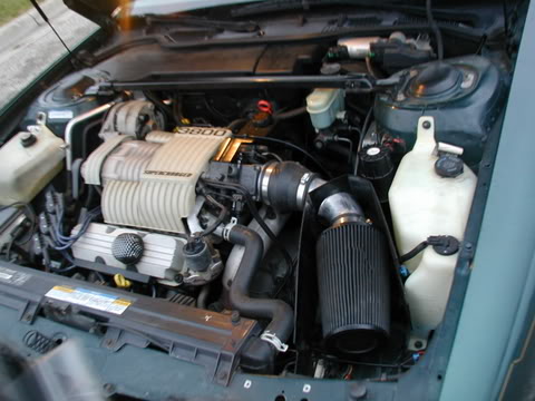 Name: P1010752.jpg
Views: 31
Size: 38.1 KB