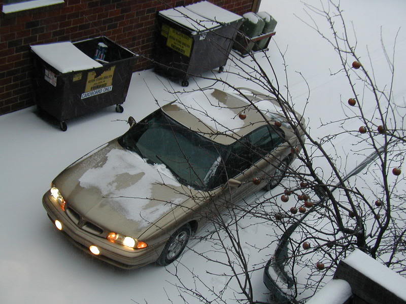 Name:  SSEsnow.jpg
Views: 75
Size:  86.6 KB
