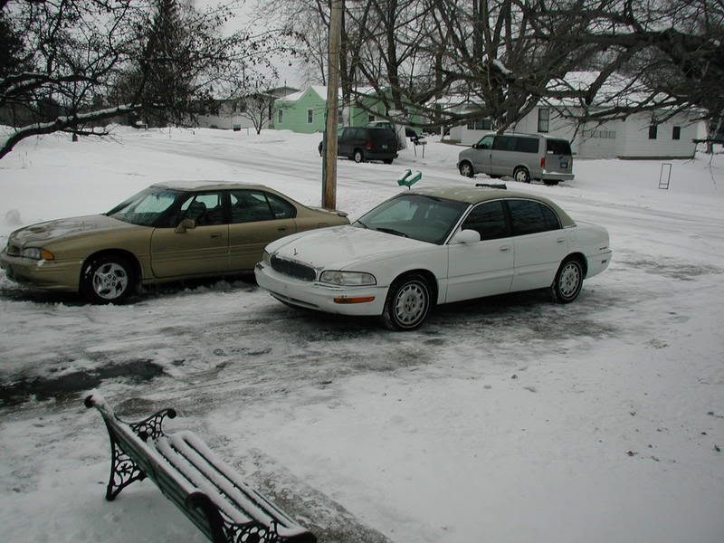 Name:  P1010050.jpg
Views: 81
Size:  81.9 KB