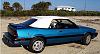 -yy91sunbird.jpg