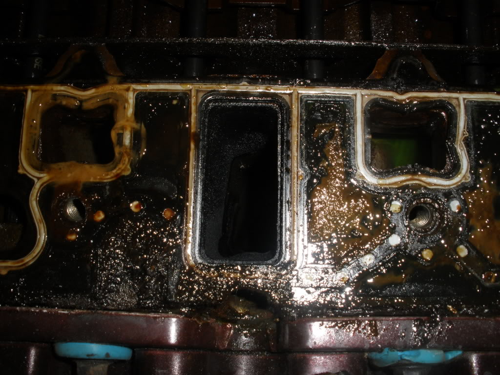 Name:  P4090009.jpg
Views: 1316
Size:  173.3 KB