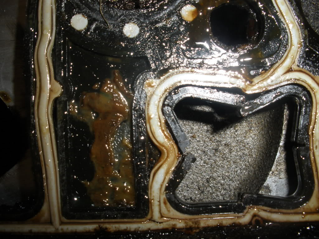 Name:  P4090011.jpg
Views: 1269
Size:  186.2 KB