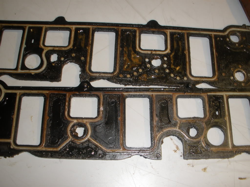 Name:  P2080038.jpg
Views: 1302
Size:  175.0 KB