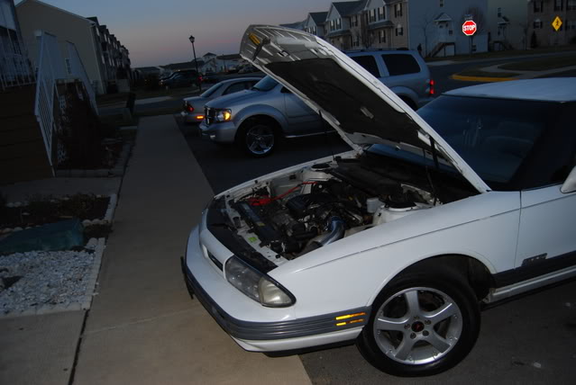 Name:  DSC_0008.jpg
Views: 692
Size:  67.8 KB