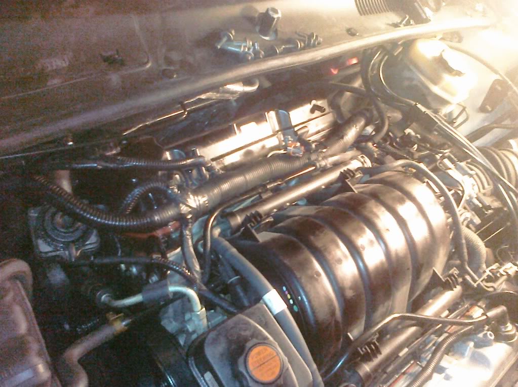 Name: CIMG0125.jpg
Views: 1481
Size: 163.6 KB