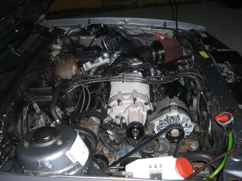 Name:  Picture050-1.jpg
Views: 2281
Size:  134.1 KB