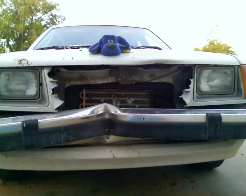 Name: 05-03-08_1946.jpg
Views: 60
Size: 48.9 KB