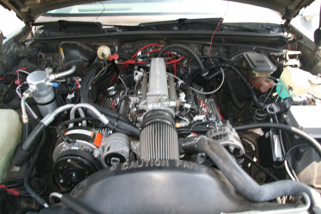 Name: Monte7.jpg
Views: 81
Size: 120.9 KB