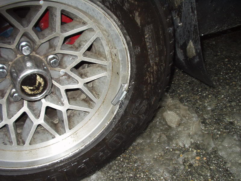 Name:  Feb5-082.jpg
Views: 136
Size:  88.8 KB