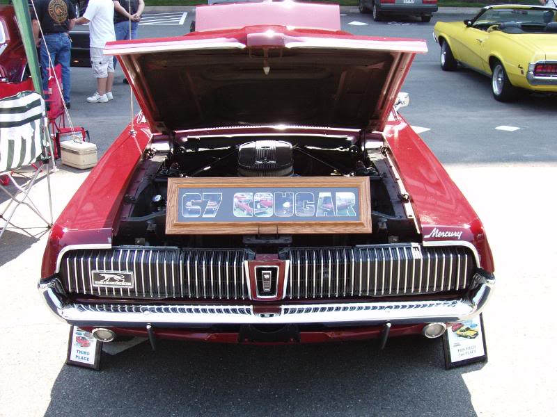 Name:  Cougar4.jpg
Views: 594
Size:  87.7 KB