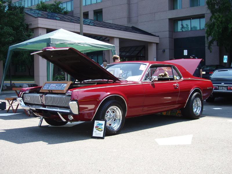 Name:  Cougar5.jpg
Views: 590
Size:  78.8 KB