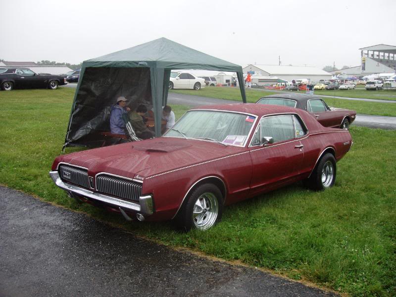 Name:  Cougar6.jpg
Views: 579
Size:  77.4 KB
