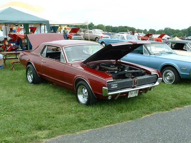 Name:  Cougar9.jpg
Views: 620
Size:  69.2 KB