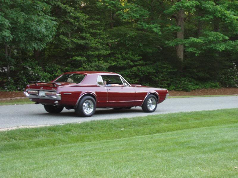 Name:  Cougar13.jpg
Views: 1141
Size:  79.0 KB