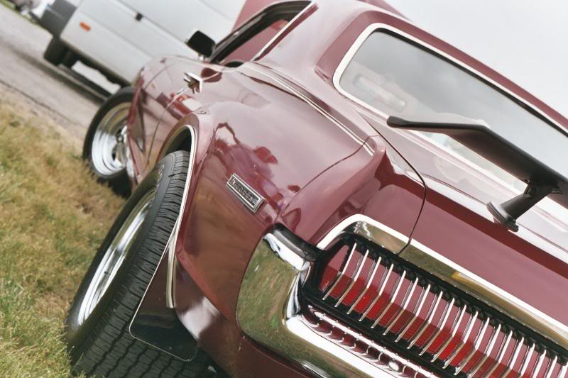 Name:  Cougar17.jpg
Views: 609
Size:  68.9 KB