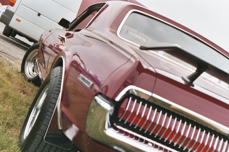 Name:  Cougar18.jpg
Views: 511
Size:  64.5 KB