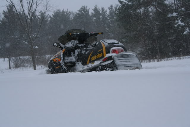 Name:  sledding2008008.jpg
Views: 40
Size:  47.4 KB