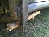 The end of honder-2011-10-03_17-55-36_514.jpg