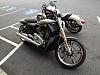 2012 V-rod Muscle!-108786d5.jpg