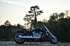2012 V-rod Muscle!-dsc_0180.jpg