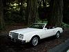 October 2013 COTM Nominations!-2012-monterey-089.jpg