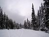 November Early Snow Storm-thecoveredwinterroad_zps0fe0c733.jpg