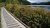 Park Ave Detailed!-rolleylake2_zps09c29966.jpg