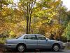 My Ride In Fall Colors !-parkavefallleaves_zps6fa2ceda.jpg