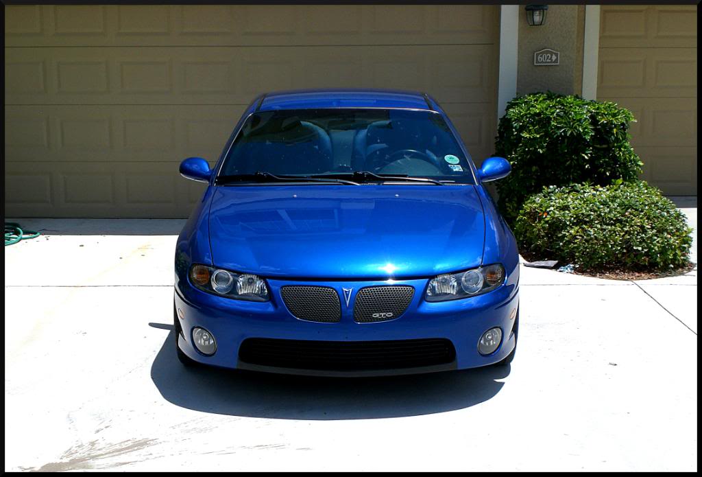 Name:  CIMG3173.jpg
Views: 46
Size:  76.4 KB