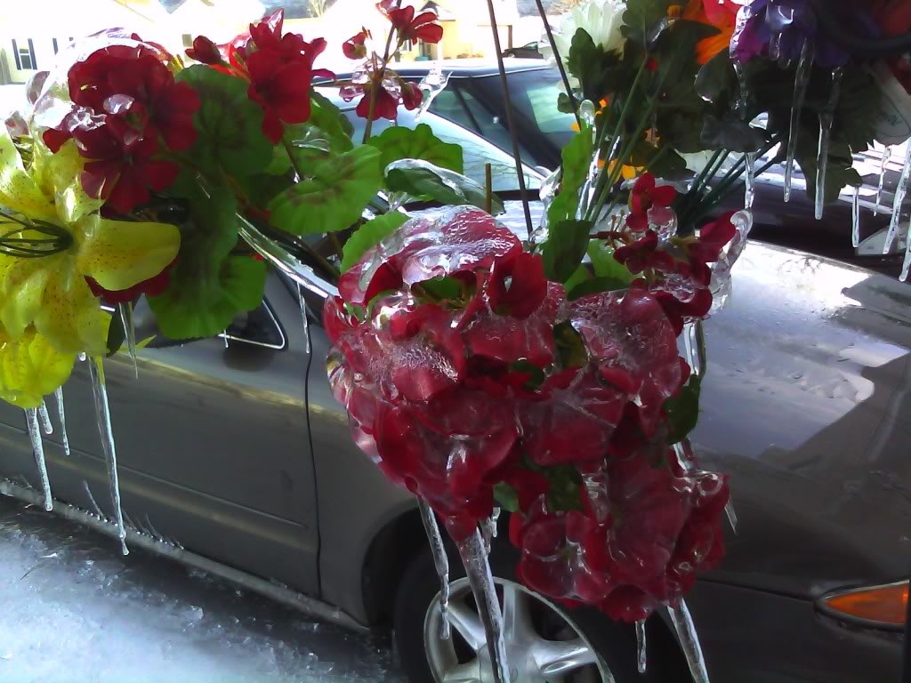 Name:  CIMG0102-3.jpg
Views: 53
Size:  129.1 KB