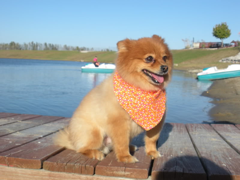 Name: DSCN7164.jpg
Views: 124
Size: 55.3 KB