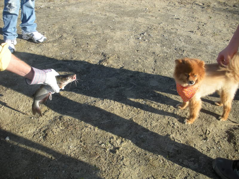 Name: DSCN7158.jpg
Views: 129
Size: 173.2 KB