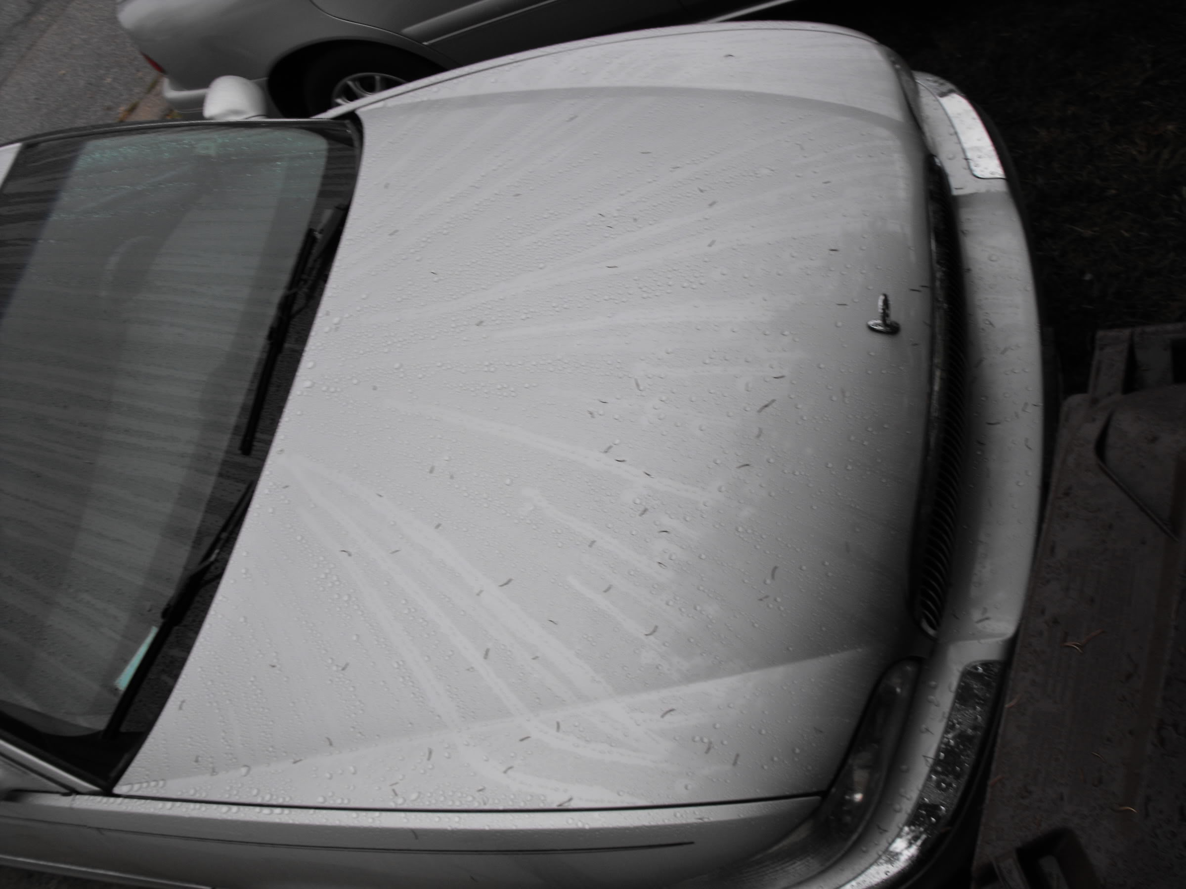 Name:  DSCF2119.jpg
Views: 94
Size:  254.9 KB