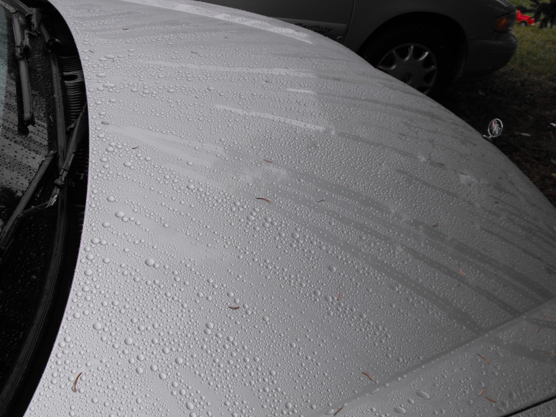 Name:  DSCF2122.jpg
Views: 75
Size:  552.1 KB