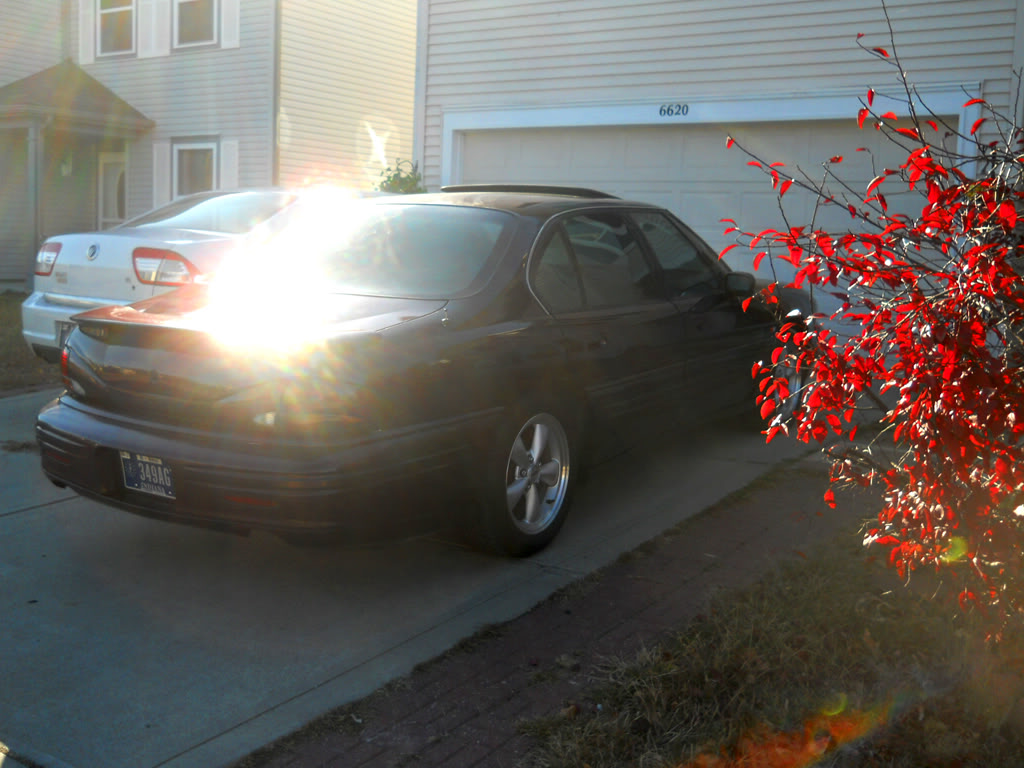 Name:  DSCN5624.jpg
Views: 154
Size:  203.5 KB