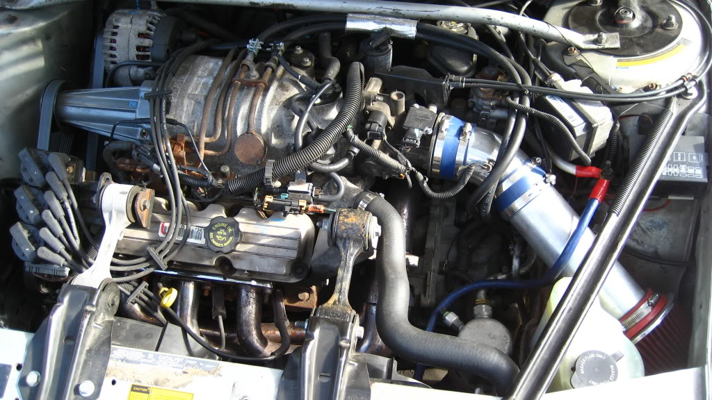 Name:  IMG_0443.jpg
Views: 1180
Size:  167.2 KB