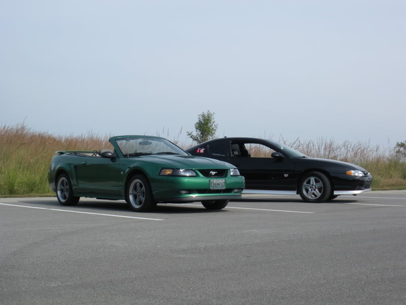 Name: DSCN5341.jpg
Views: 124
Size: 96.9 KB