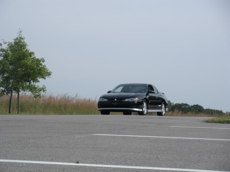 Name: DSCN5354.jpg
Views: 119
Size: 91.1 KB