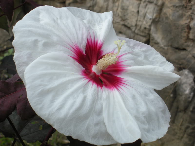 Name: DSCN5544.jpg
Views: 35
Size: 91.1 KB