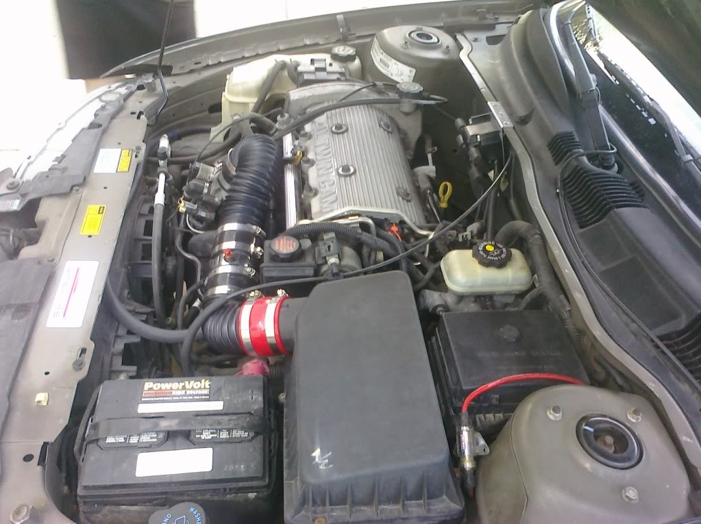 Name:  CIMG0216-1.jpg
Views: 3527
Size:  158.2 KB